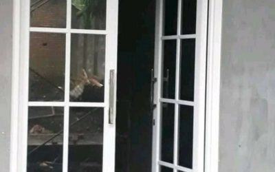 Harga Kusen Aluminium Per-meter di Jogja